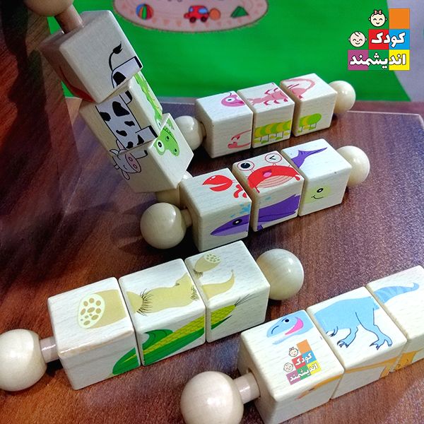 پازل چرخشی مکعبی چوبی (5 طرح)